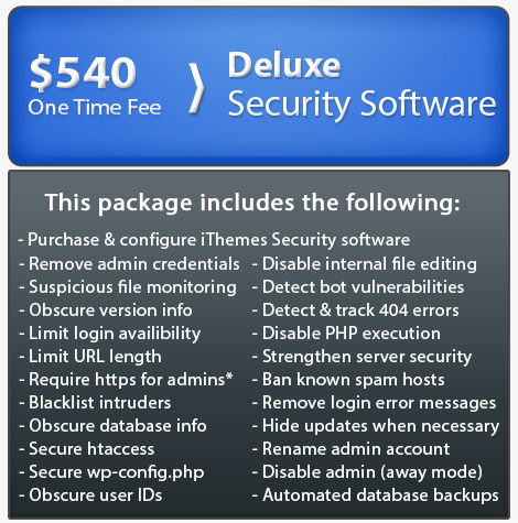 Advanced website security packages