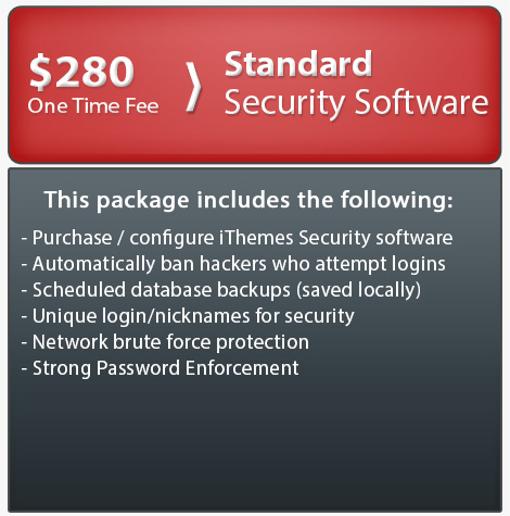 Website security packages